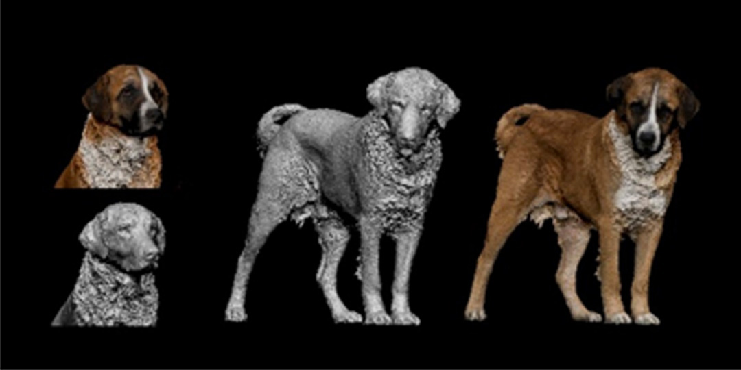 Juggernaut VFX Mobile Photogrammetry Studio Juggernaut VFX Mobile Photogrammetry Studio
